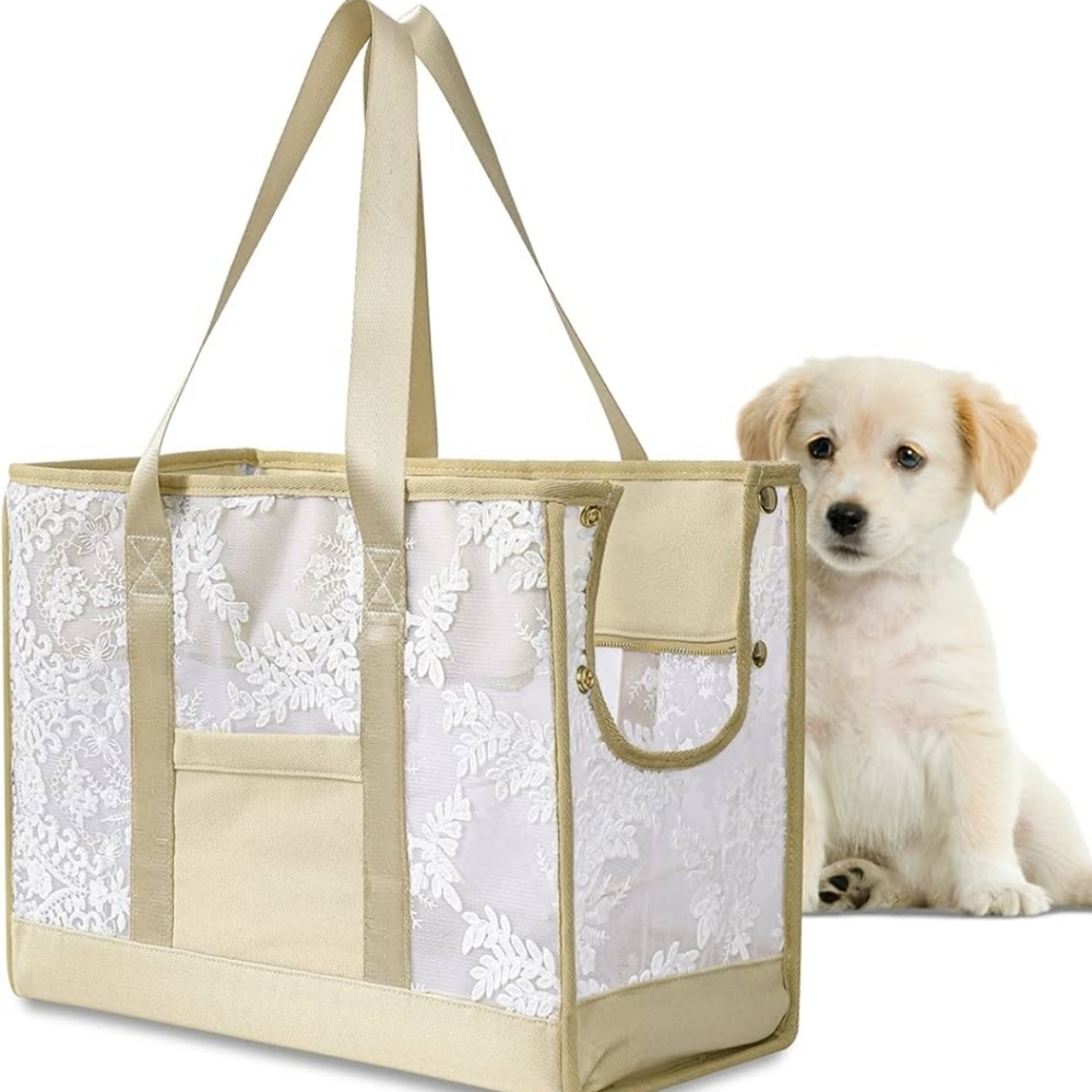Pet carrier